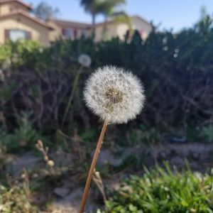 Meet your Posher, Christy